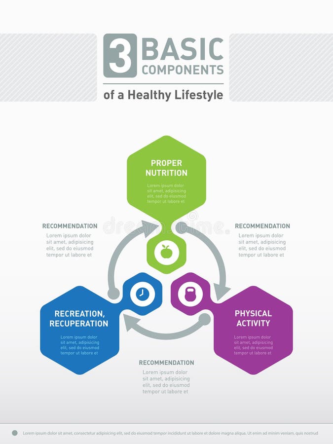 The Three Core Components That Determine Your Lifestyle: Environment, Personal Choice, and Habit