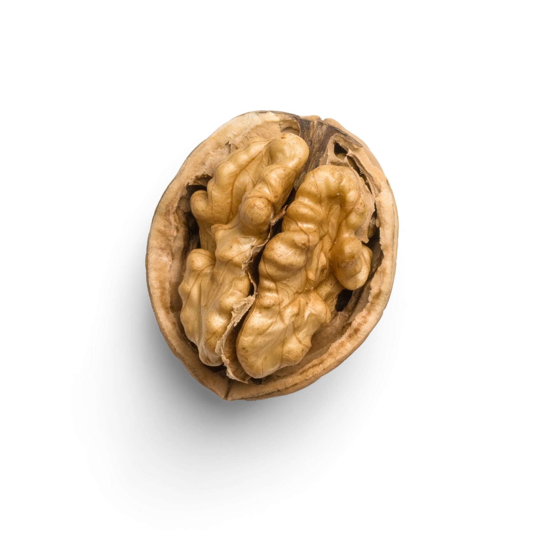 Unlocking the Power of Omega-3 Fatty Acids for Lifelong Brain Health