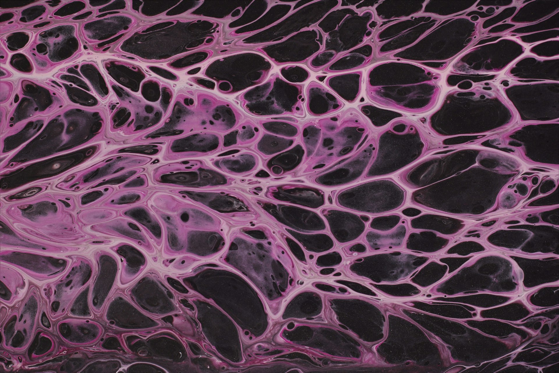 The Future of Stem Cell Therapy: Transforming Joint Repair and Regeneration